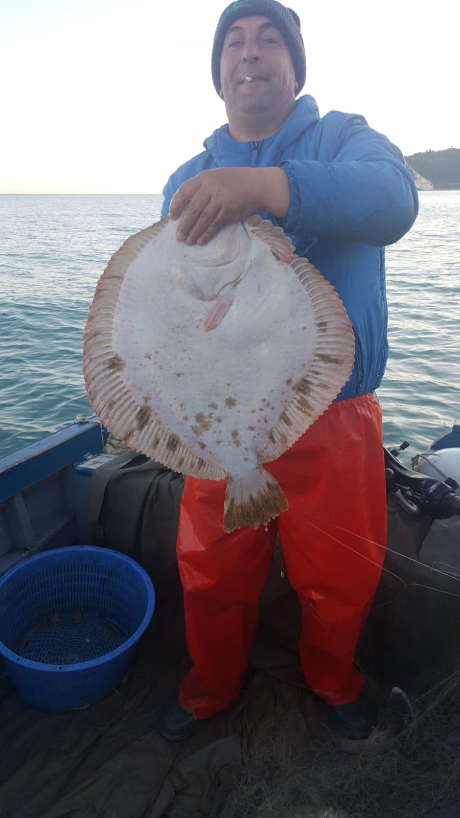 Rombo appena pescato sulla barca